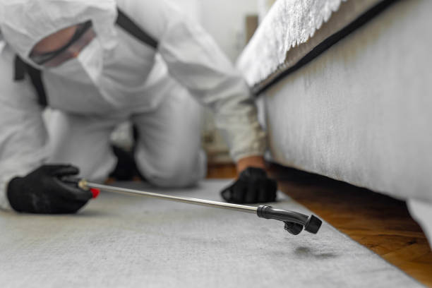 Professional Termite Control technician working in Tracy, MN
