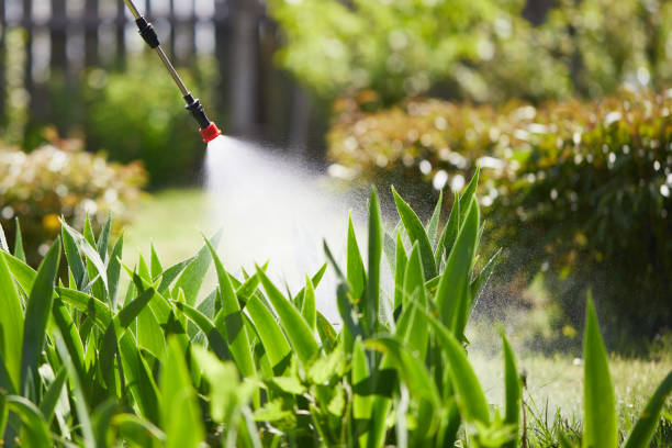 24/7 Emergency Termite Control experts in Tracy, MN